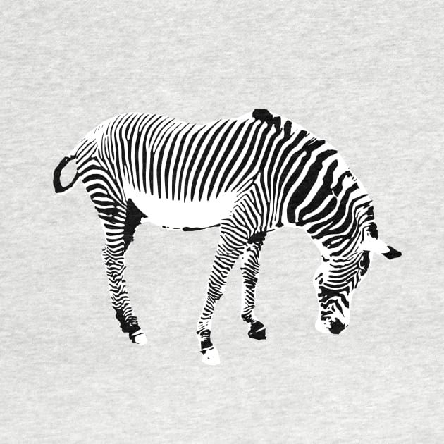 Zebra by Shyflyer